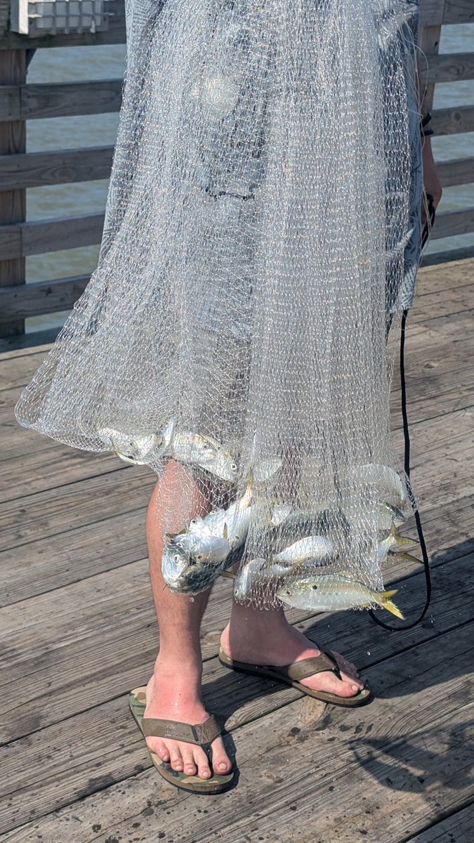 Haven’t throw a cast net in over 10 years, good to know I still got it.