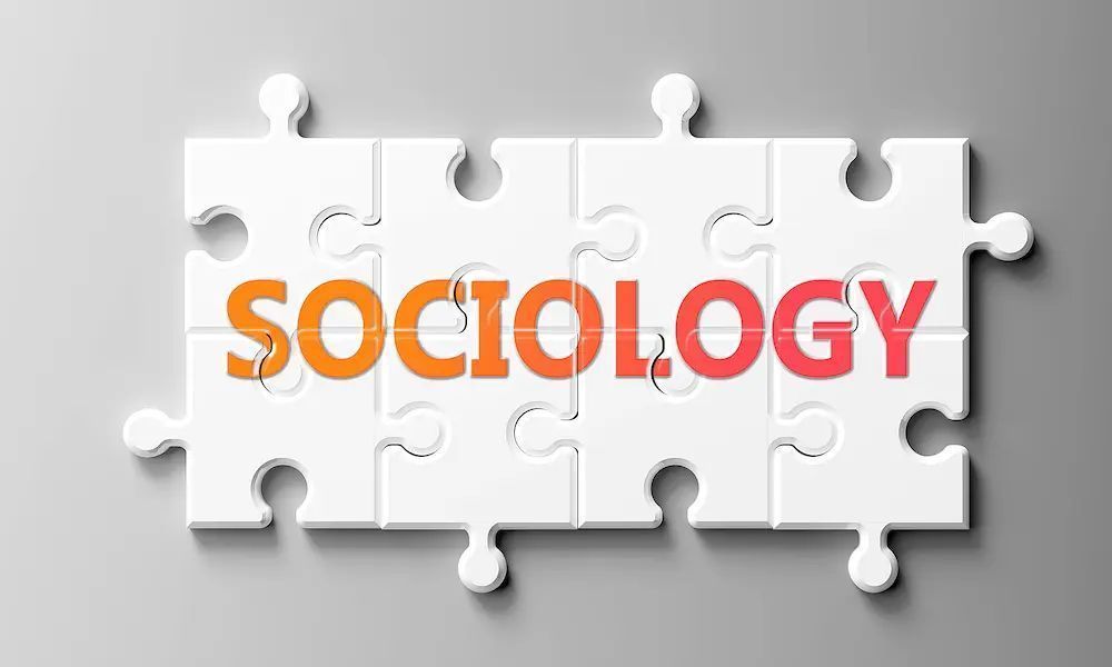 buff.ly/4b4cjDW 
Understanding sociology is vital for all business dealings, which are essentially human interactions. By leveraging insights into human behavior, you can expand your business in ways that set you apart from competitors. #BusinessGrowth #Sociology