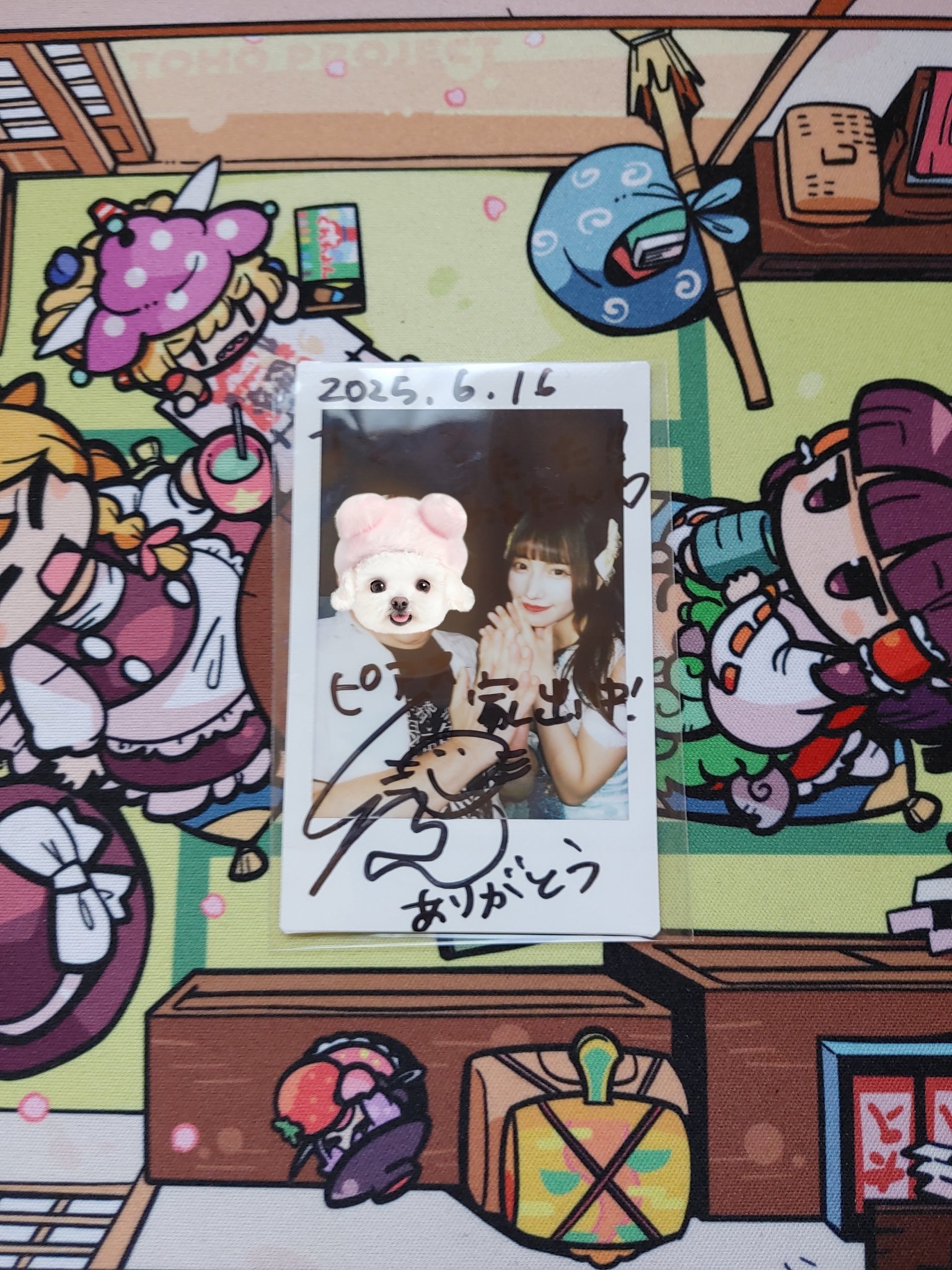 そよご on X: 