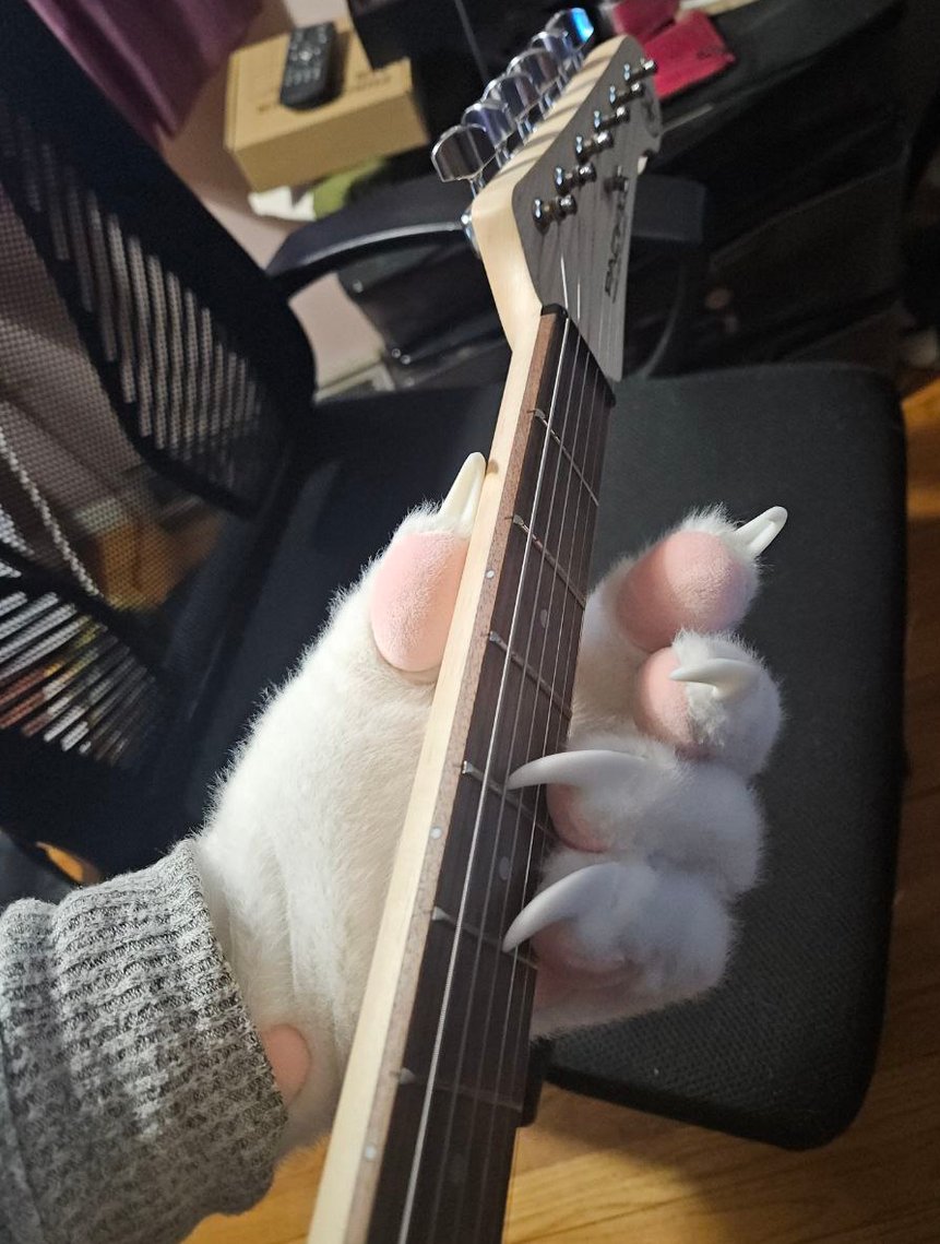 ehlbee's tweet image. First guitar lesson today (paws by @smallyuXP)