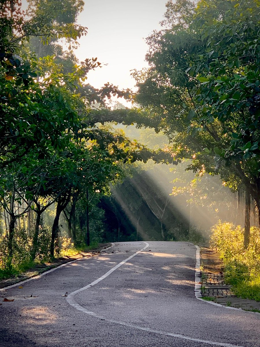 The morning sun is within reach