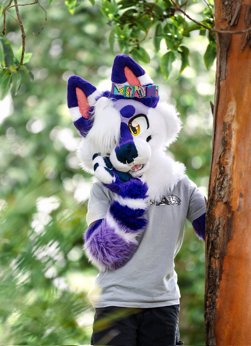 💜~

🌳 <a href="/koydusk/">Jasper 🦴</a>