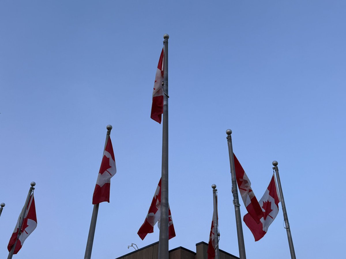 Russell Crowe tweet media