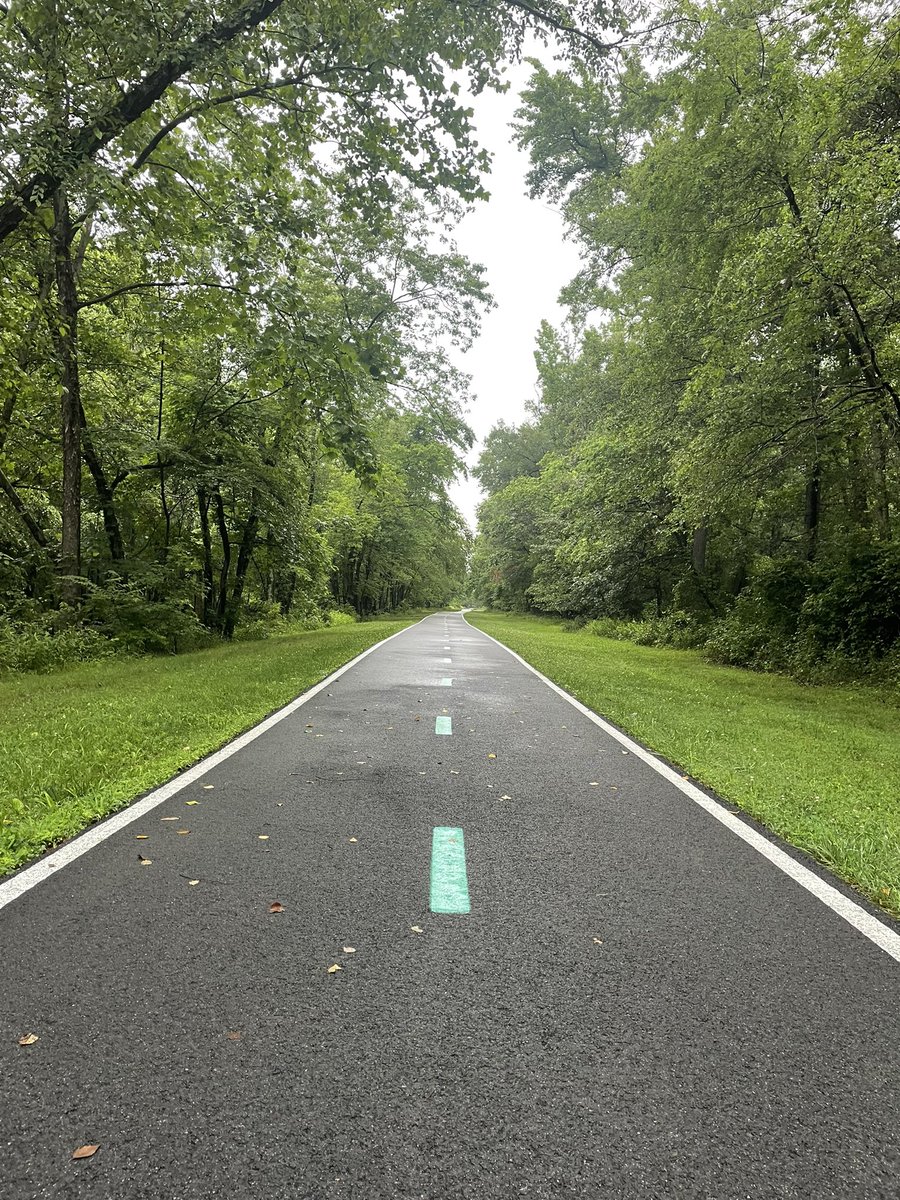 wetlikewontonsoup (@n0tevil_) on Twitter photo 