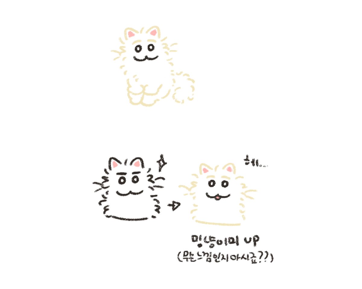 sha_namool's tweet image. 탈색하고 밍냥이미 수직상승

#민호