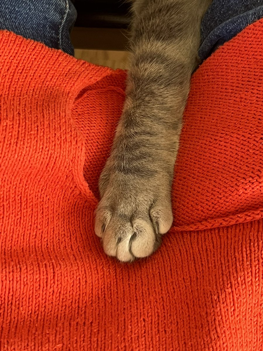Mitten