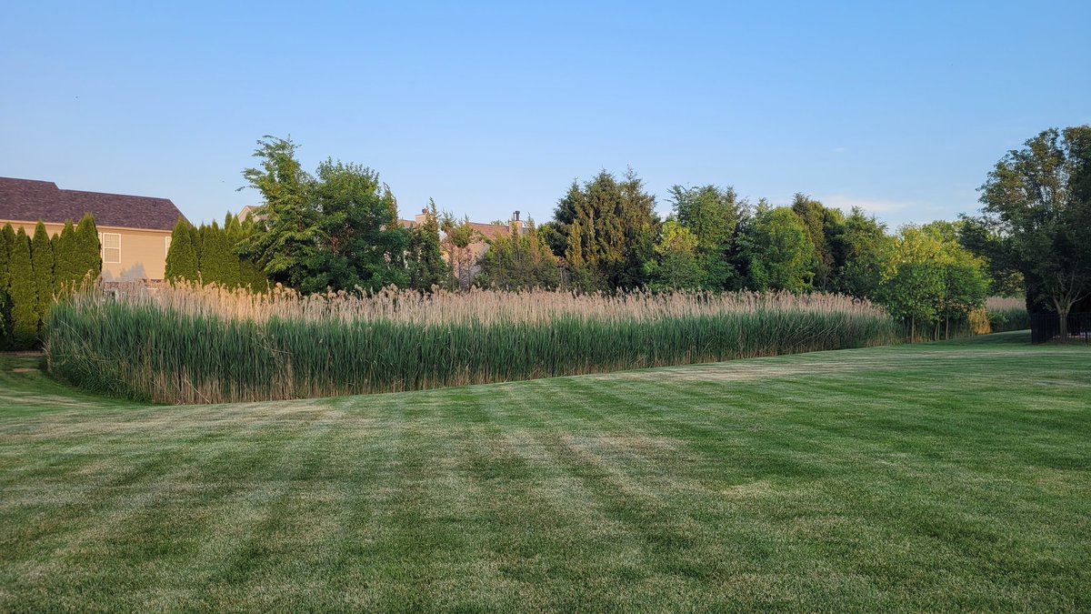 CumminsChanning's tweet image. #NatureRules #PureImagination