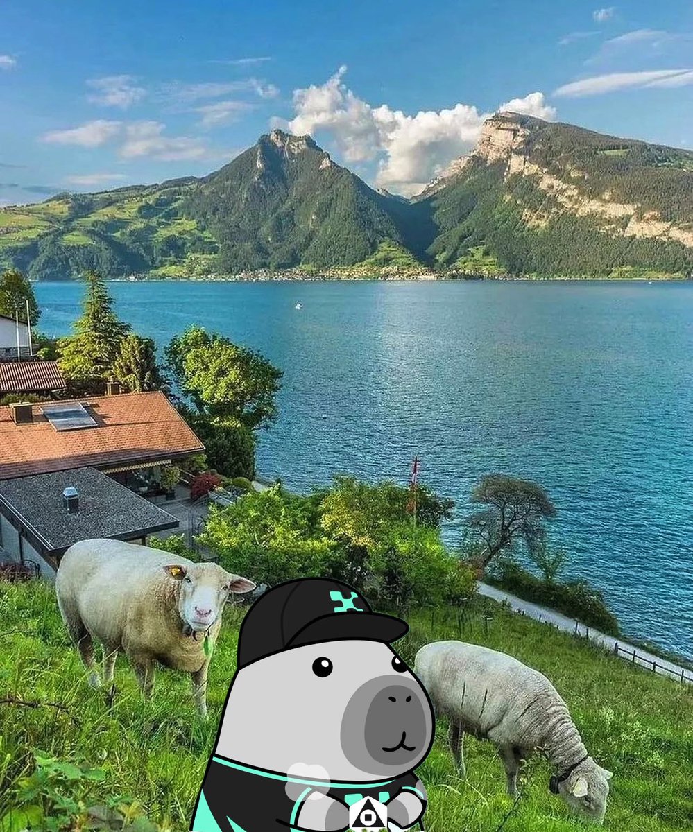 Good morning, Yappers 😎

Another day to roll the dice, drop value, and climb the <a href="/MagicNewton/">Newton</a> leaderboard.
Agentic finance isn’t the future it’s happening now.

Let’s yap with purpose. 

Let’s earn with proof.

gNewt 🪄