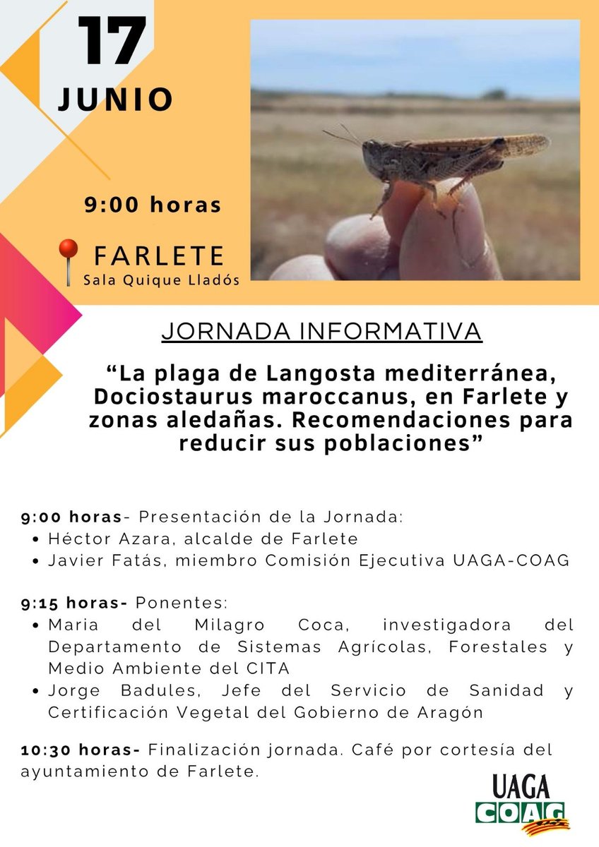 Jornada informativa sobre la plaga de langosta en Farlete

👩‍🔬María del Milagro Coca, investigadora del departamento de Sistemas Agrícolas, Forestales y Medio Ambiente participa en el encuentro

 #investigación #CSCV

📅 17 de junio 🕰️ 9.00 h. en Sala Quique Lladós

Más info👇👇👇
