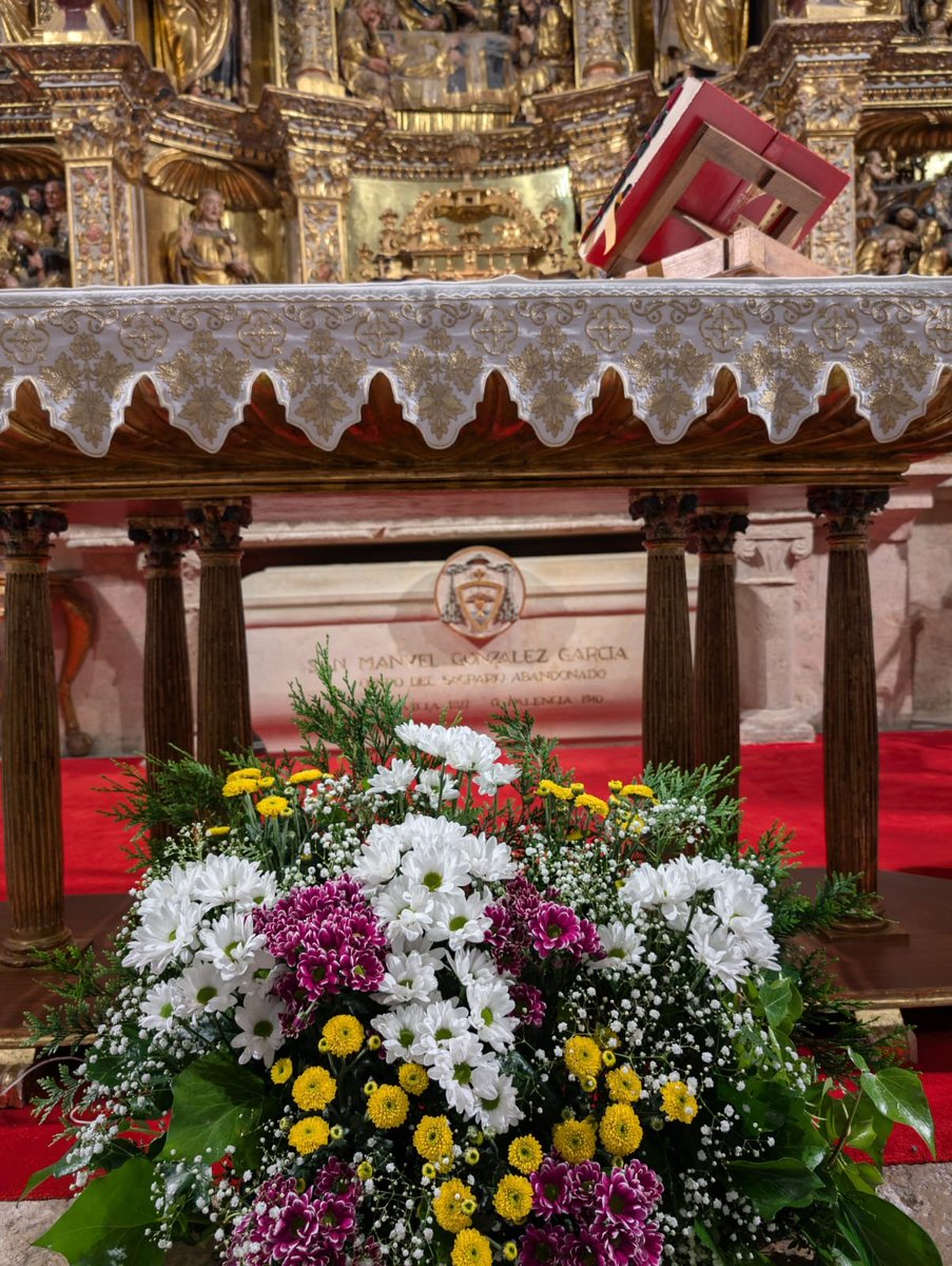 Misa de clausura del XIII Capítulo General de las Misioneras Eucarísticas de Nazaret <a href="/eucaristicas/">M.E.N.</a> en <a href="/catedralpalenci/">Catedral de Palencia</a> <a href="/IglesiaPalencia/">Diócesis de Palencia</a> <a href="/MediosConfer/">CONFER</a> <a href="/VidaReligiosa1/">Vida Religiosa</a> <a href="/alfayomegasem/">Alfa y Omega</a> <a href="/sanmanuelg/">San Manuel Gonzalez</a> <a href="/Ecclesia_ES/">Revista ECCLESIA</a> <a href="/DiocesisMalaga/">Diócesis de Málaga</a> <a href="/DiocesisHuelva/">Diócesis de Huelva</a> @archise