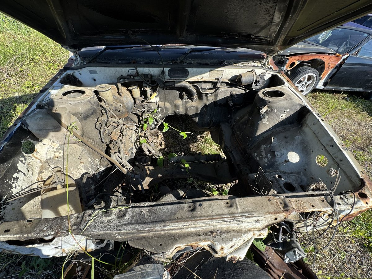 Yamasho@出莉野･地獄ウマ小屋支部 tweet media