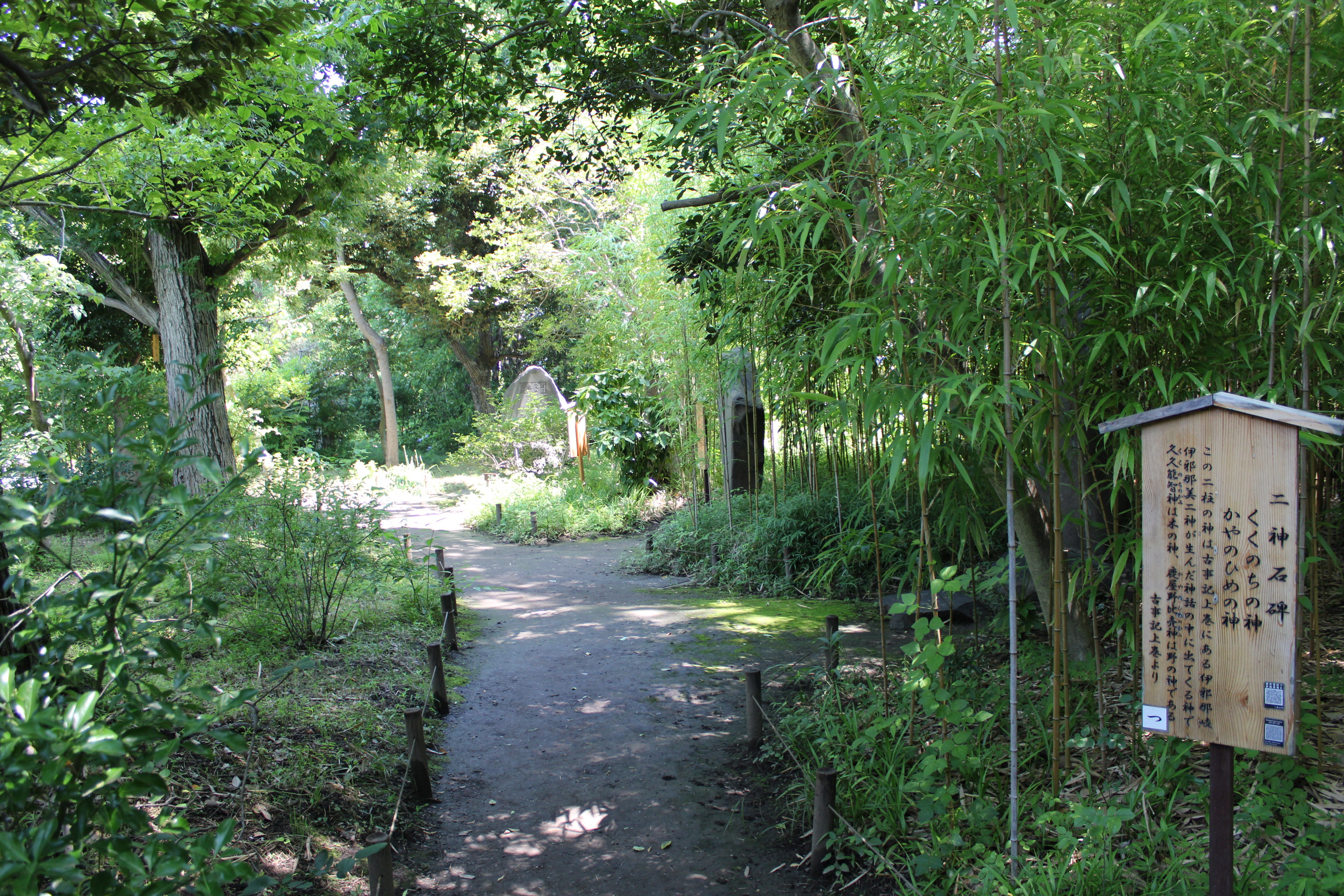 竹林院　CTR Fixed-Base Radius 60m Tower Cranes with Anchor Bolt Base