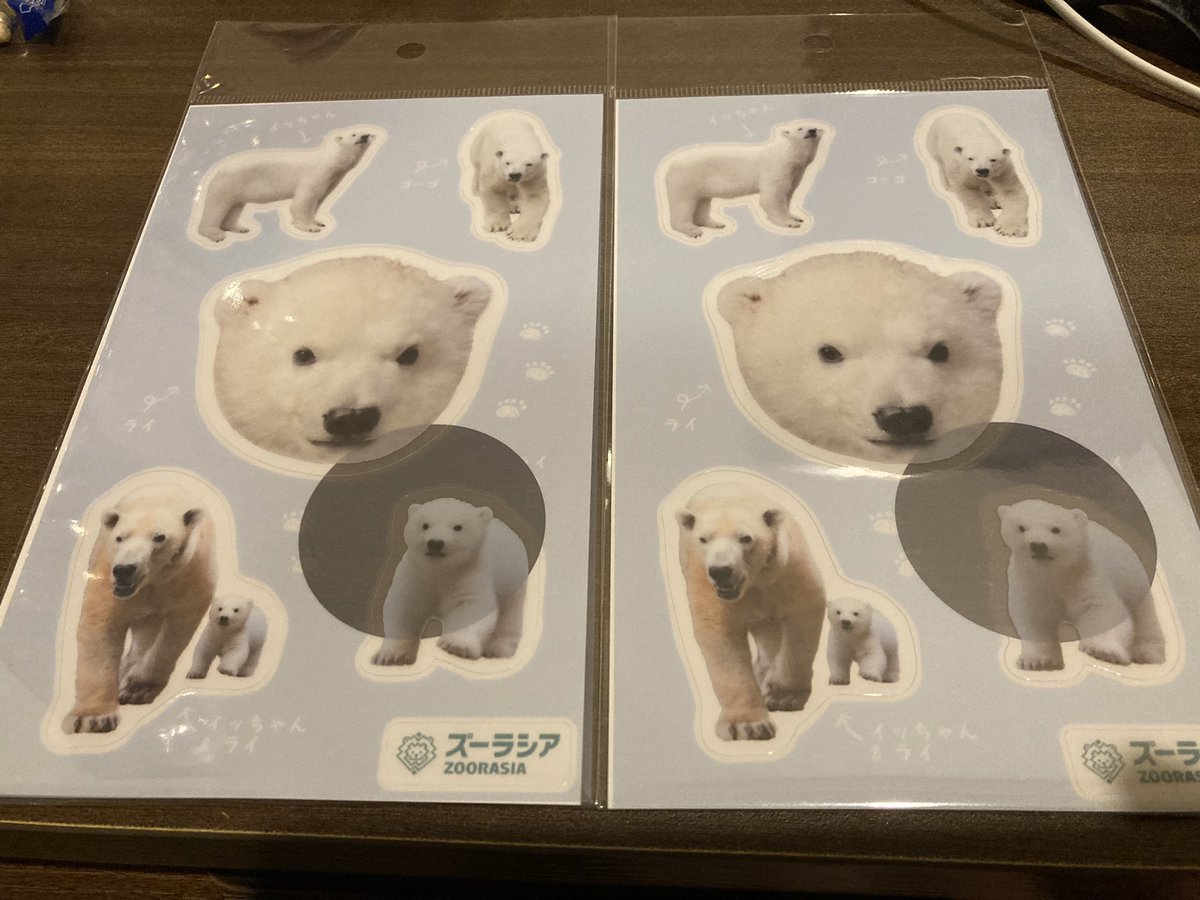 NatsukoChishiro's tweet image. ズーラシアで購入したグッズ😊
かわいい😍
#ホッキョクグマ #イッちゃん #ライ #横浜ズーラシア #ズーラシア #polarbear #シロクマ