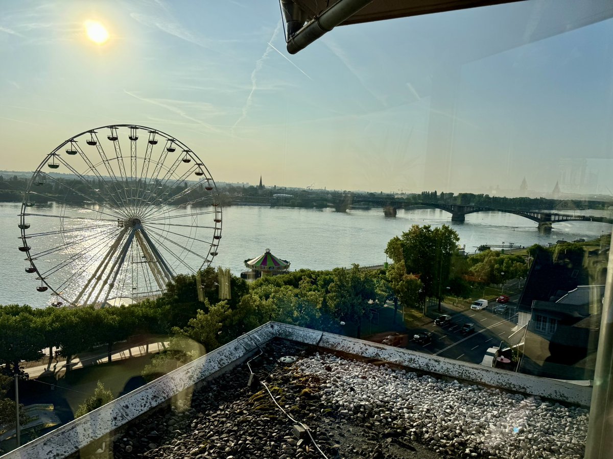 Morning, from sunny Mainz 🇩🇪