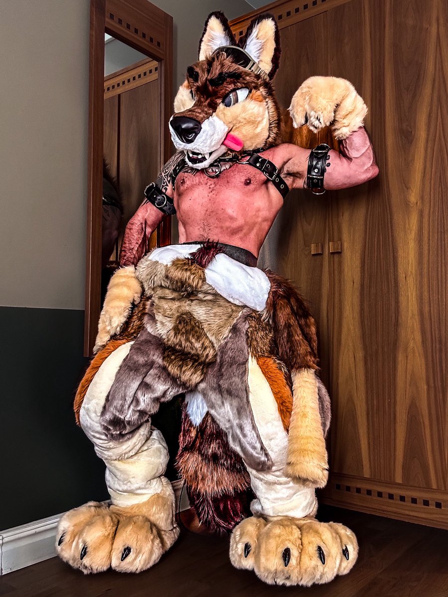 Fuckin’ furries, man. Maybe the fundamentalist MAGA nutjobs are right? 😆