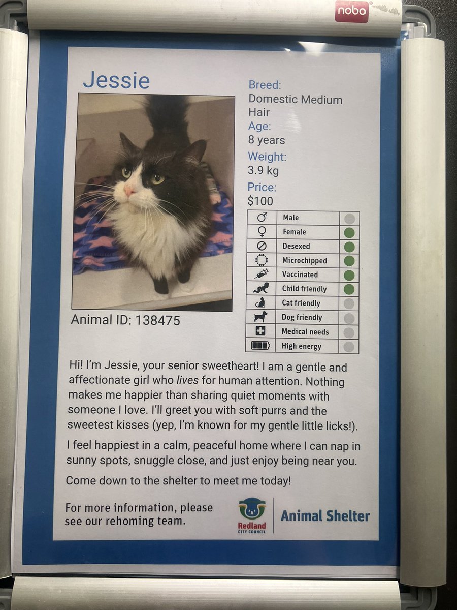 wasian kid clutching tweet media