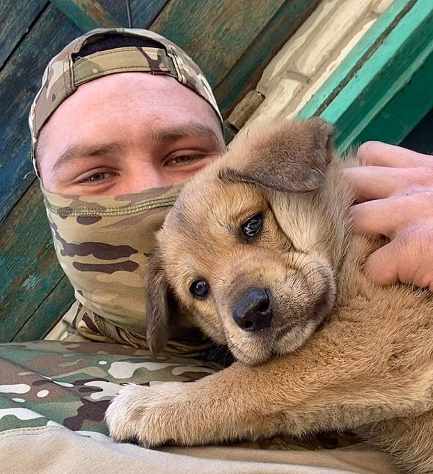 Привет бойцам невидимого фронта🤗😘❤️🇷🇺✌️✌️✌️