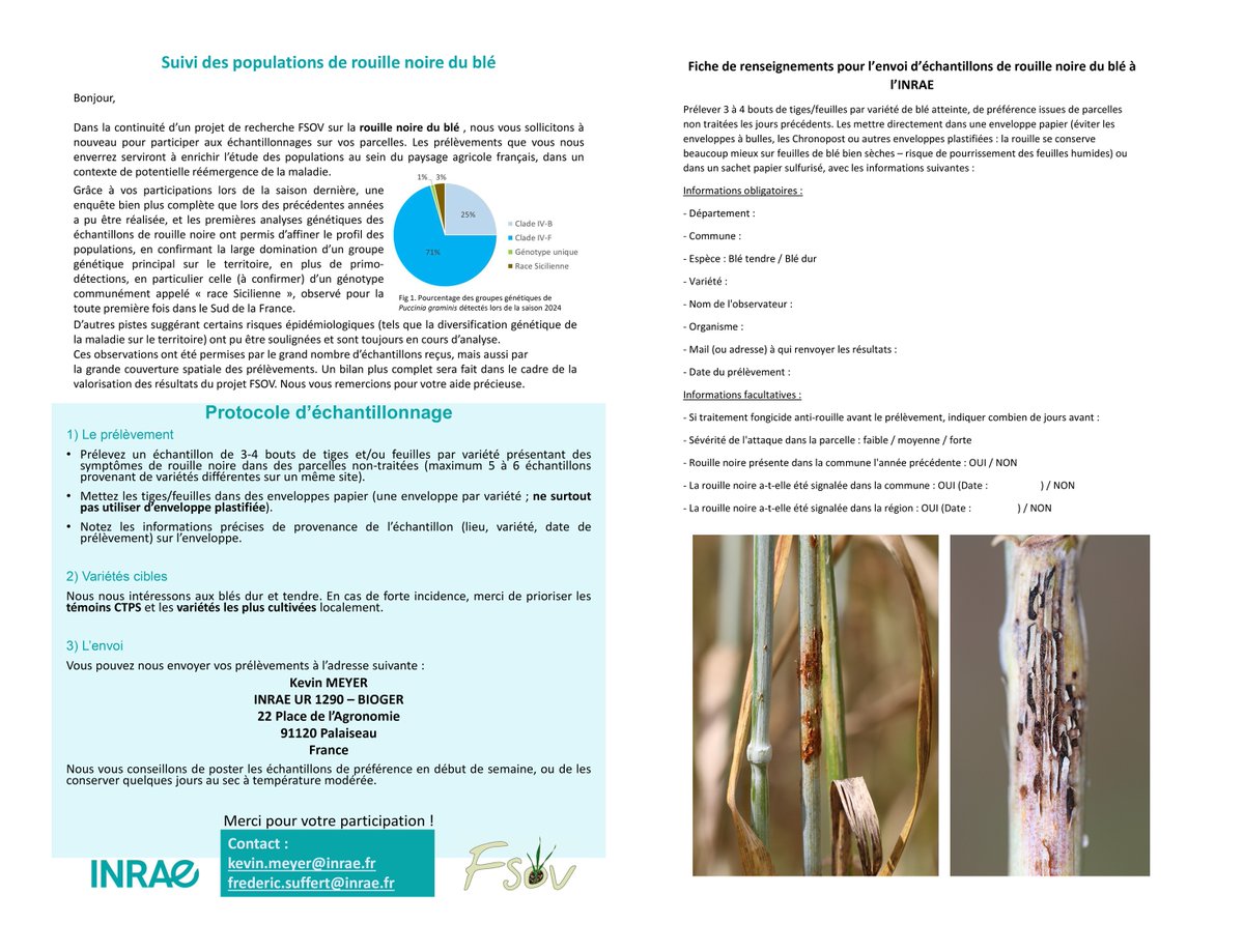 📢 A diffuser svp ! Appel à prélèvement de #rouille noire <a href="/INRAE_France/">INRAE</a> #BIOGER <a href="/Arvalisofficiel/">ARVALIS</a>.
Aidez-nous à caractériser la situation épidémiologique 2025 : ouvrez l'œil dans vos #blés et transmettez des échantillons ! 🙏