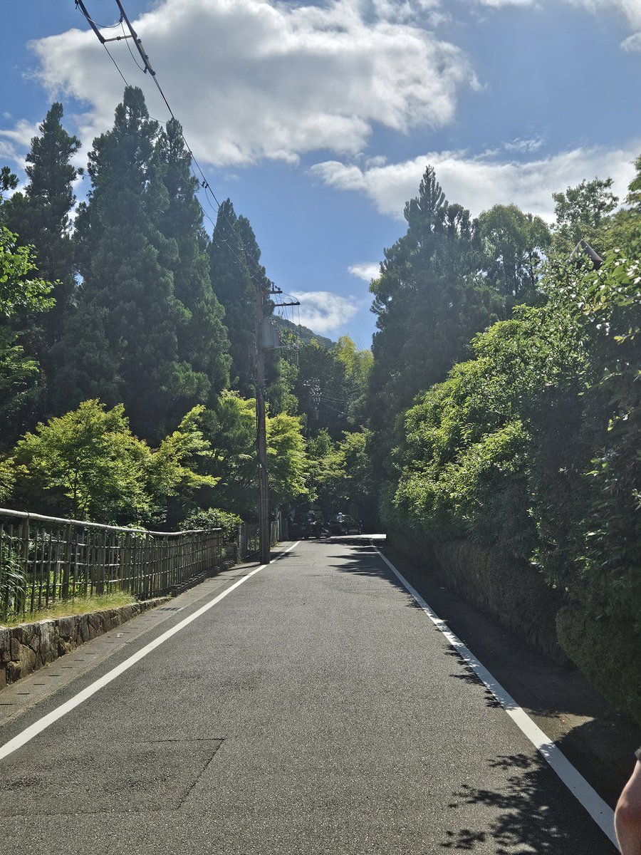 I am in the middle of the Japanese jungle right now and I have faster internet speeds than Australia.

We live in a country of disillusionment. This is absurd.