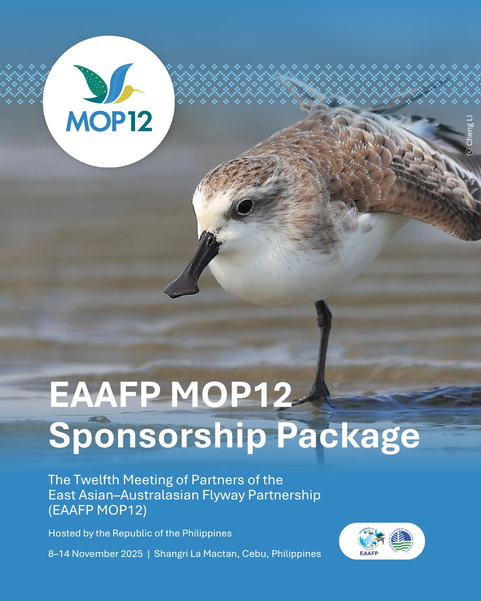 🕊️📣 MOP12 Sponsorship is now opened!
This November, the EAAFP will find its voice—not only in birdsong, but in collective action. MOP12 lands in Cebu, 🇵🇭 Nov 8–14!

#MOP12 #EAAFP #WeavingConnectionsforEAAF #MigratoryBirds #Biodiversity #Sustainability #CSR #ESG #Philippines