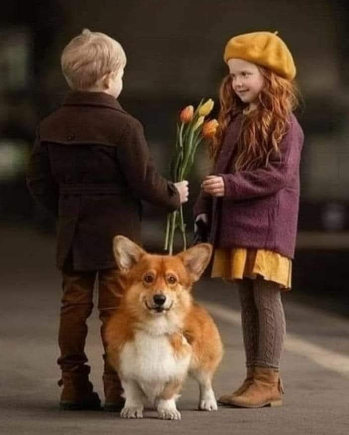 💕🥀💕