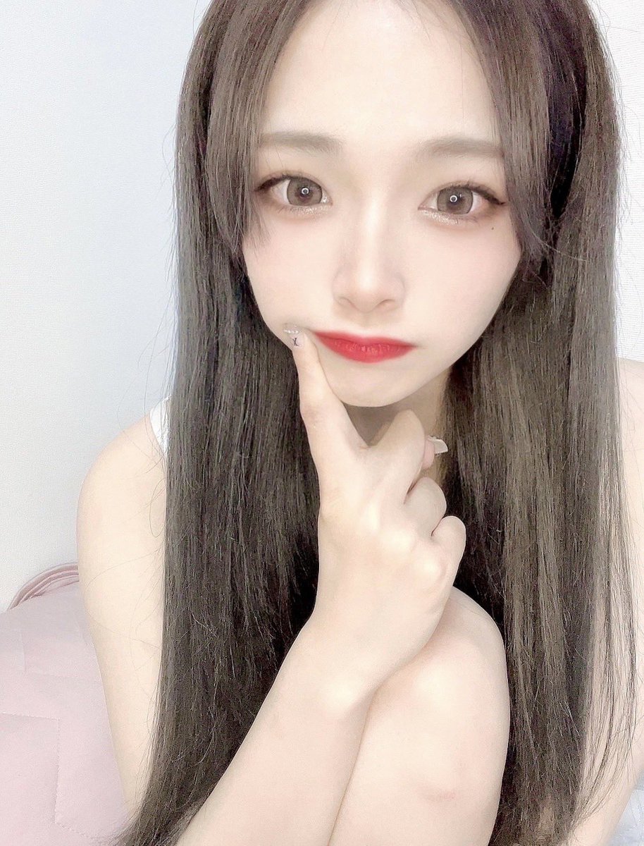 🐈⚜️ゆーゆ✝️ (@zephyr_requiem) / Posts / X