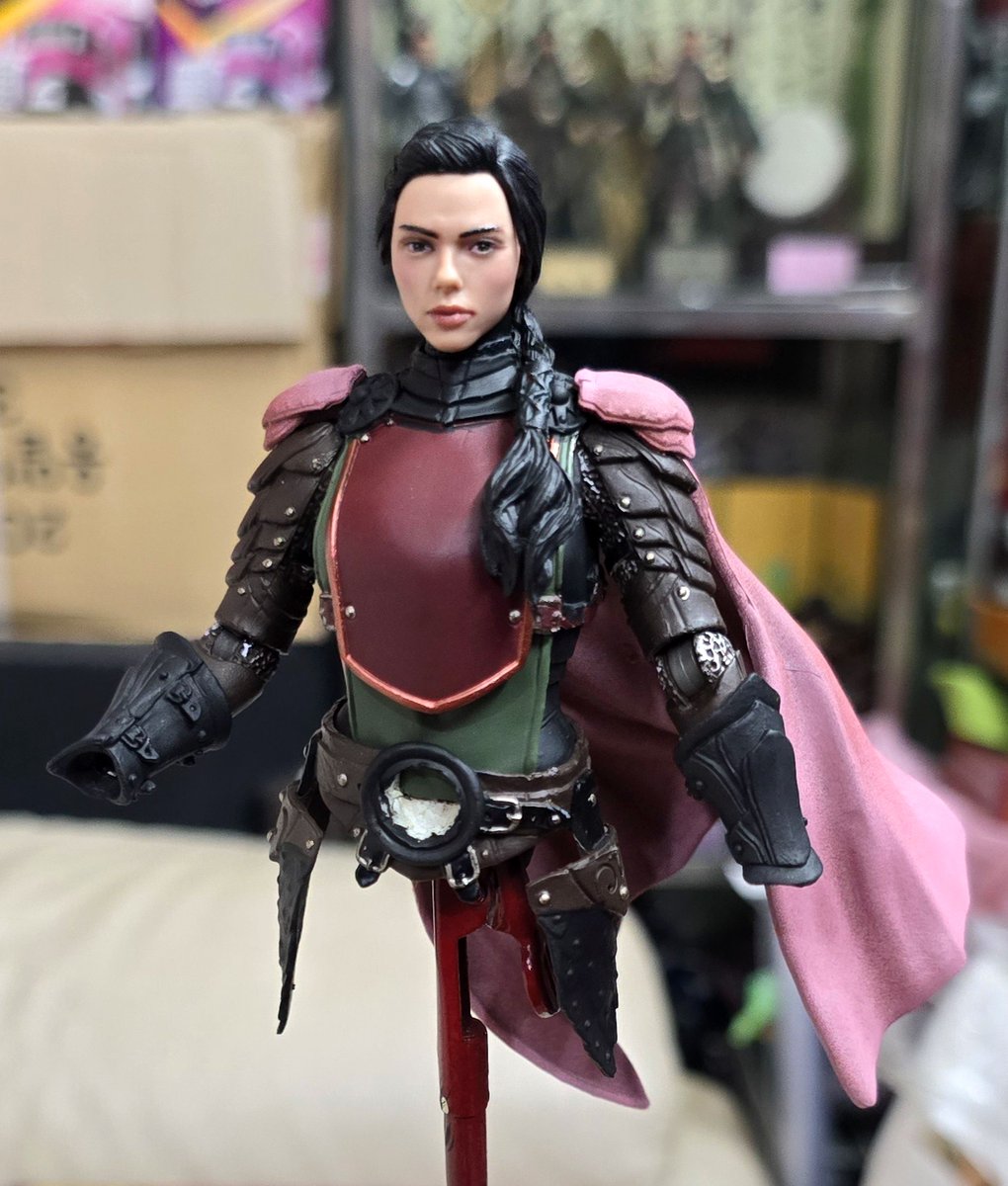 梁紅玉 WIP