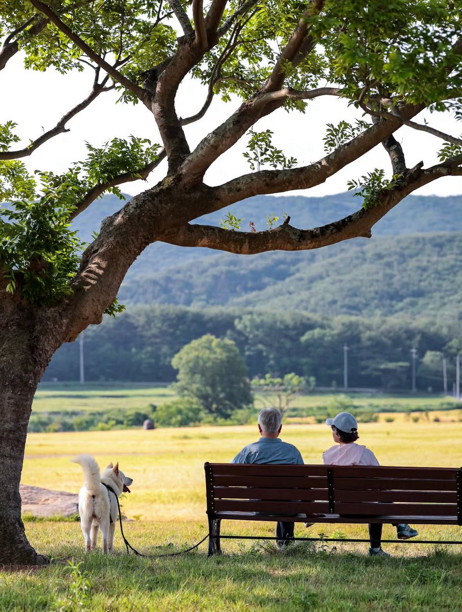 하루 빨리 소음 없이, 마음 편히 노을처럼 살아가셨으면