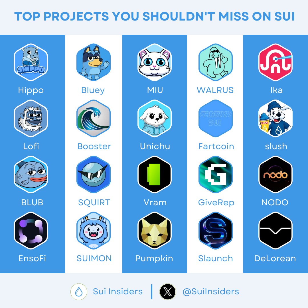 Sui Insiders💧 tweet media