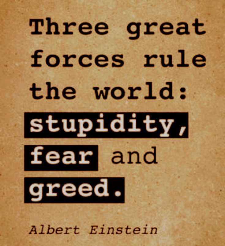 Three great forces rule the
world:
stupidity, fear, and greed.
~ Albert Einstein