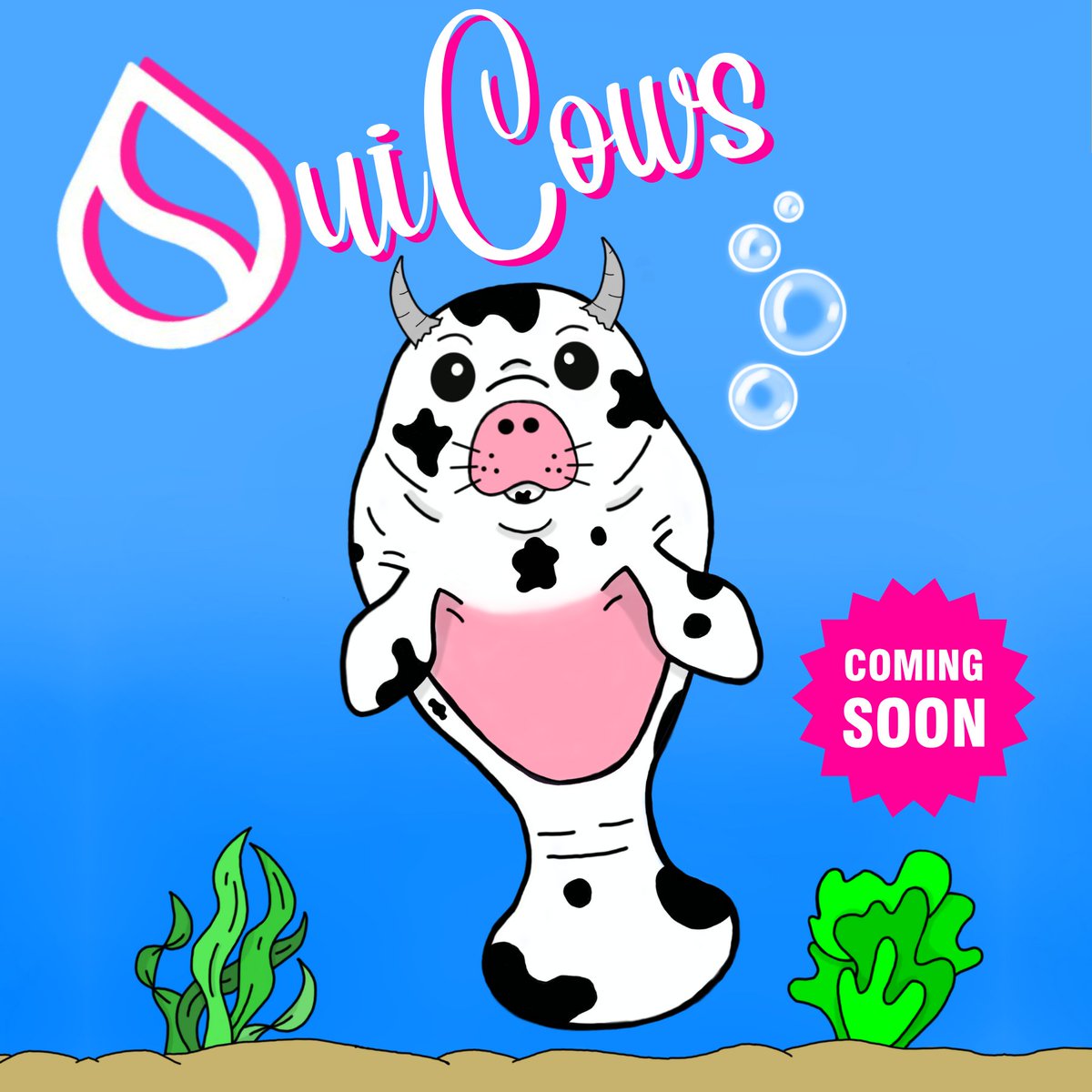 SuiCows Coming Soon! 💧🫶