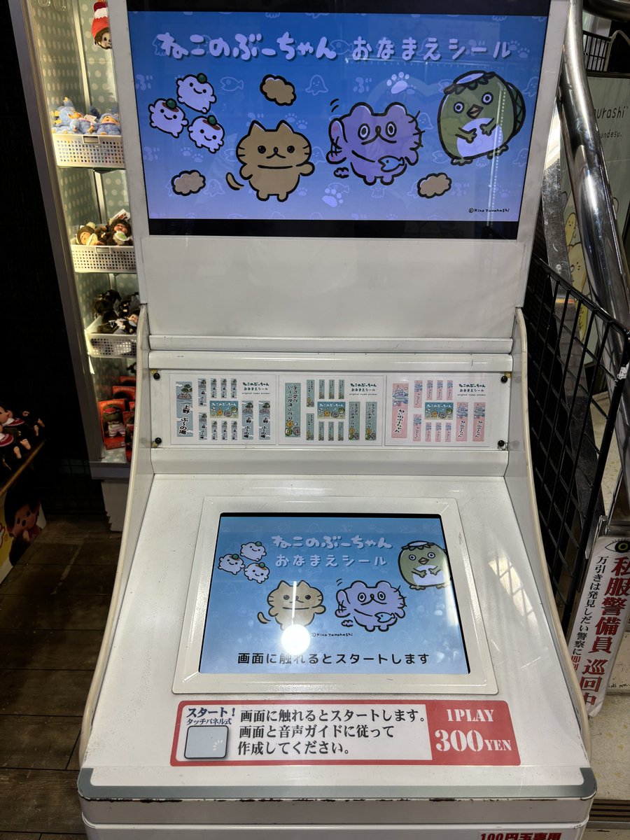 昼のヤマシロヤ行ってきた！〻ʘᴥʘ〻
タオル終了してたけど、シール復活してた！
#ねこのぶーちゃん