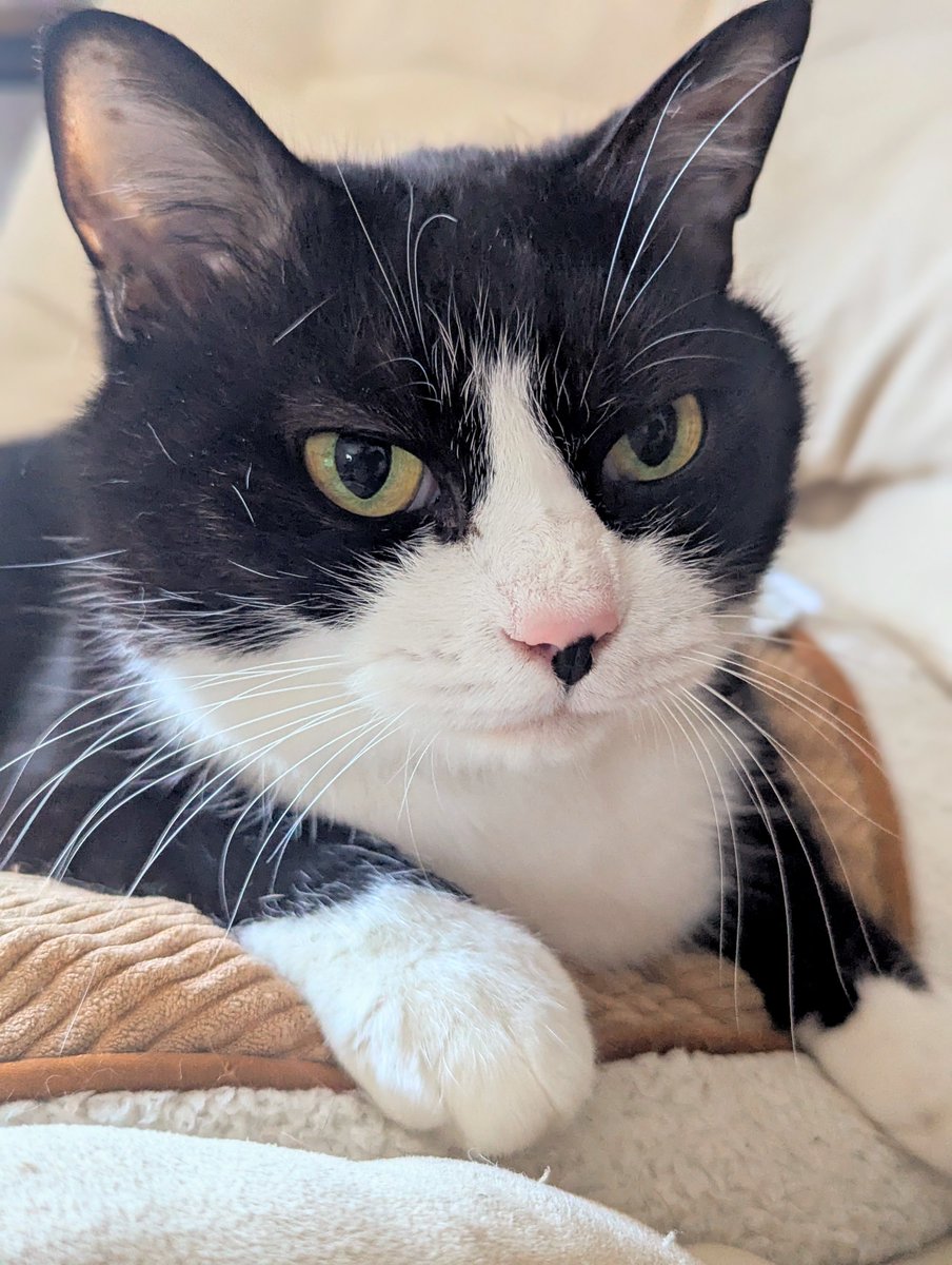 お留守番してくれた ことを褒め倒しました