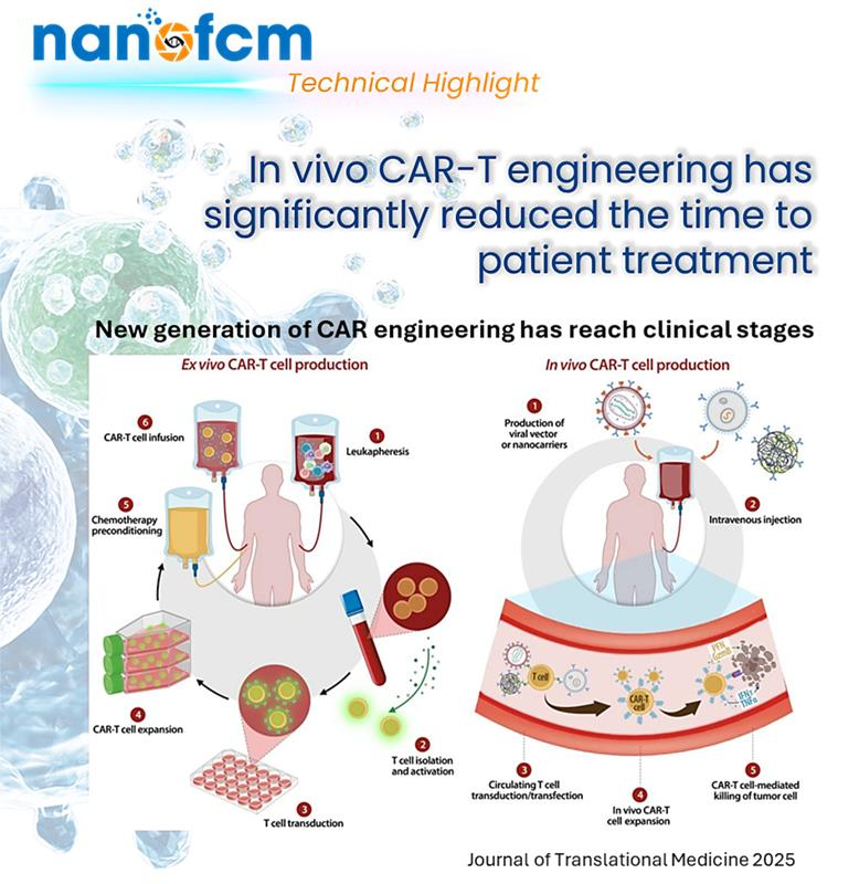 NanoFCM (@nano_fcm) on Twitter photo In vivo CAR-T uses LNPs to reprogram T cells inside the body (vs. traditional 3-4 week ex vivo process). Key challenge: Targeting LNPs to immune cells via antibodies, ligands, or peptides. #CARTcell #Immunotherapy In vivo CAR-T uses LNPs to reprogram T cells inside the body (vs. traditional 3-4 week ex vivo process). Key challenge: Targeting LNPs to immune cells via antibodies, ligands, or peptides. #CARTcell #Immunotherapy