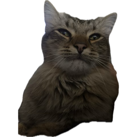 Gage tweet media