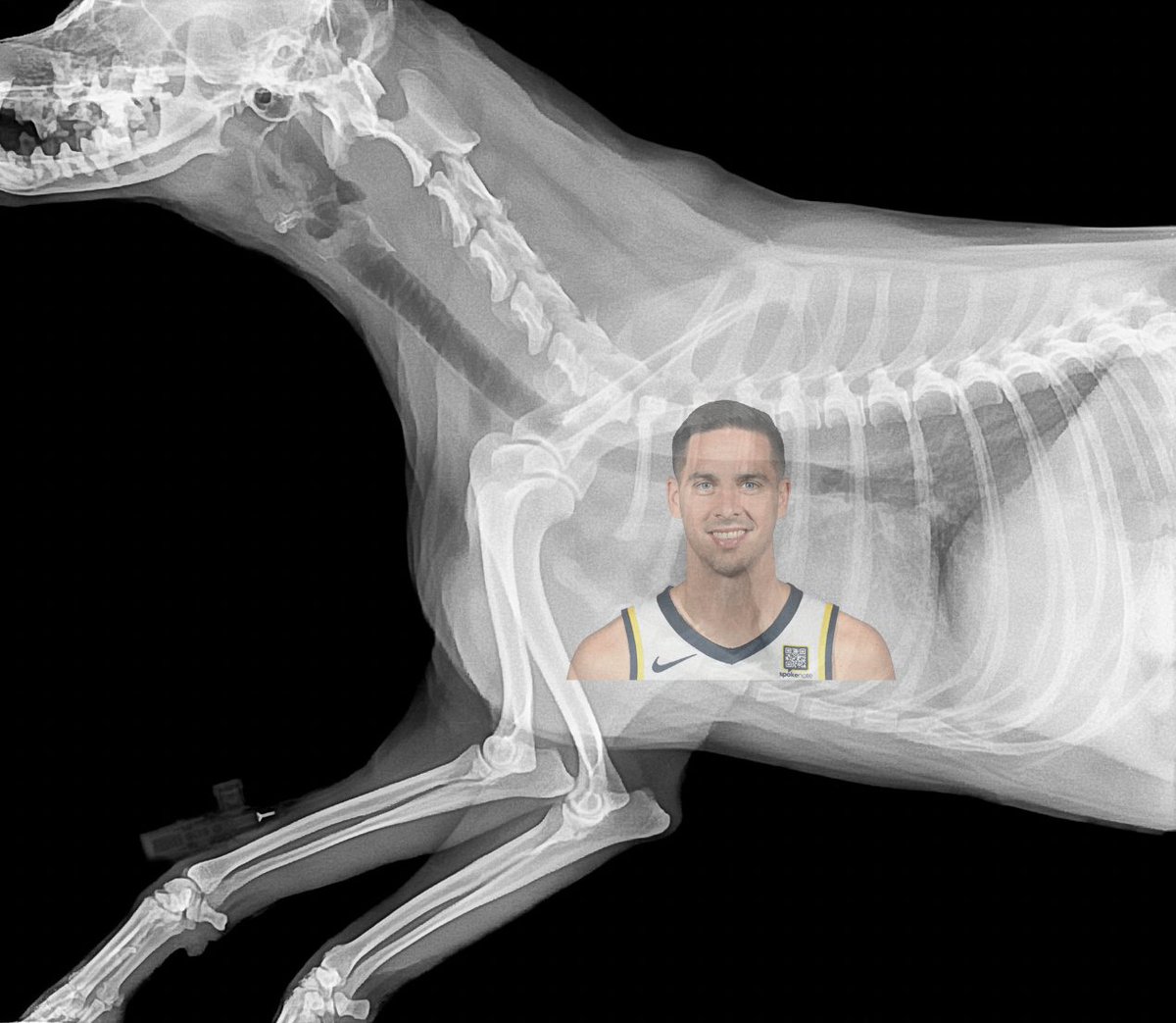 playoff paint (@nba_paint) on Twitter photo 