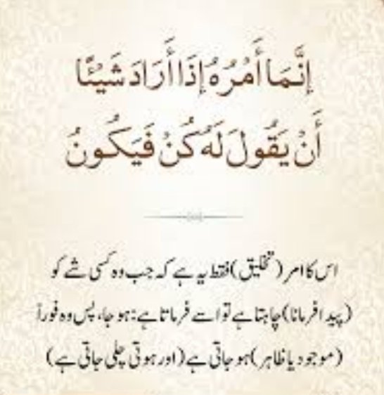 سعدیہ ملک tweet media