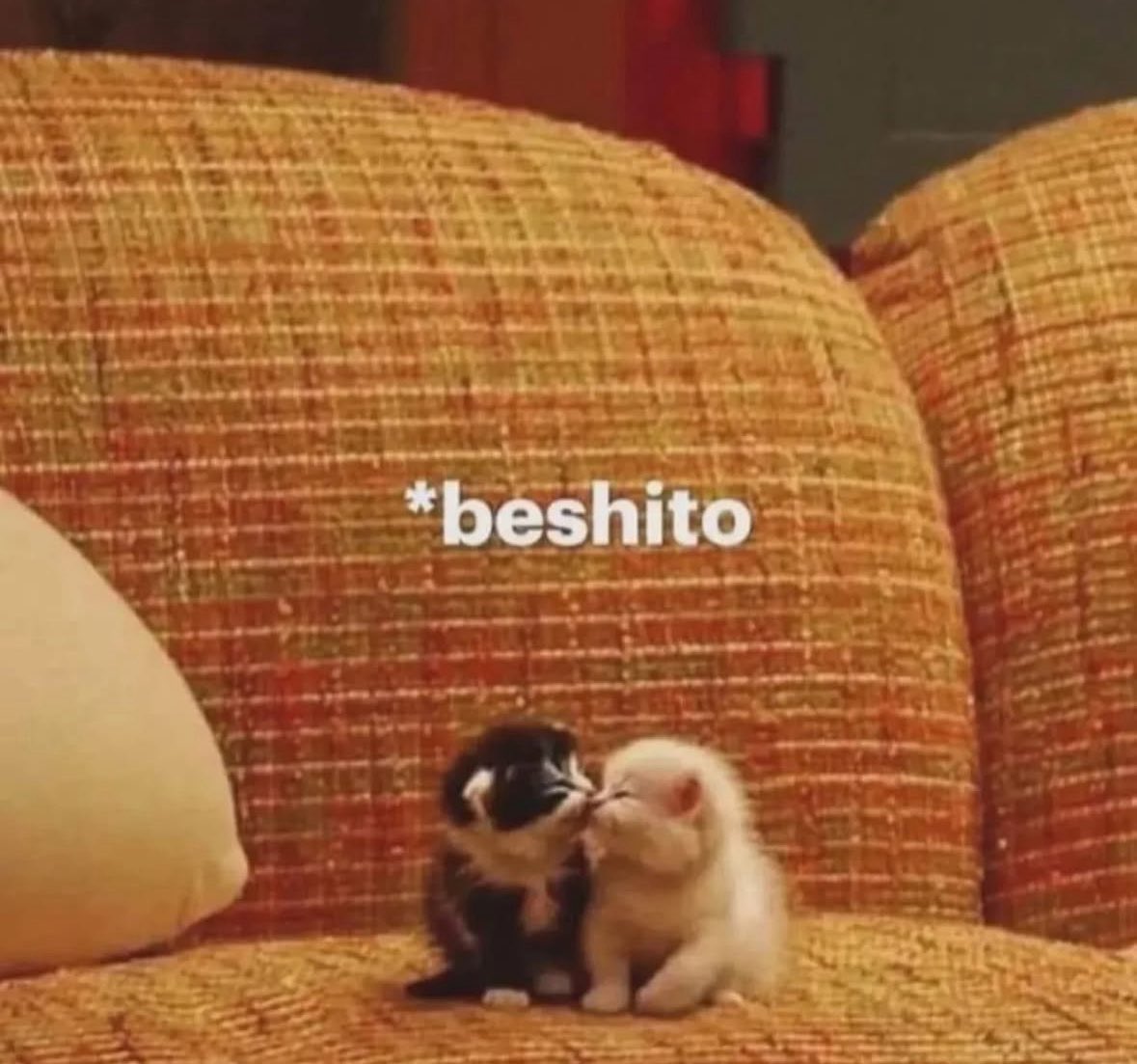 Yo cuando estoy con mi amorcito ❤️‍🩹