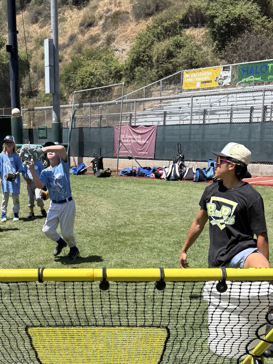 CV baseball tweet media