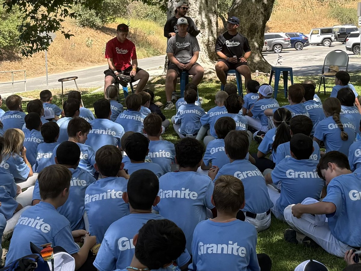 CV baseball tweet media