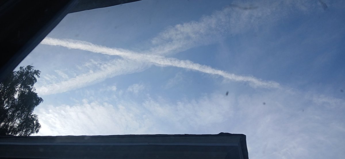 They're spraying us like bugs