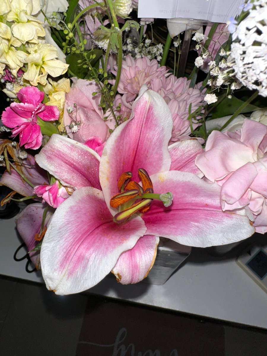 rubyrwd's tweet image. ga kebayang tiap pagi ngasi word affirmations ke bunga, tpi as flower godparents nya belum tdr krn nugas smpe subuh☺️