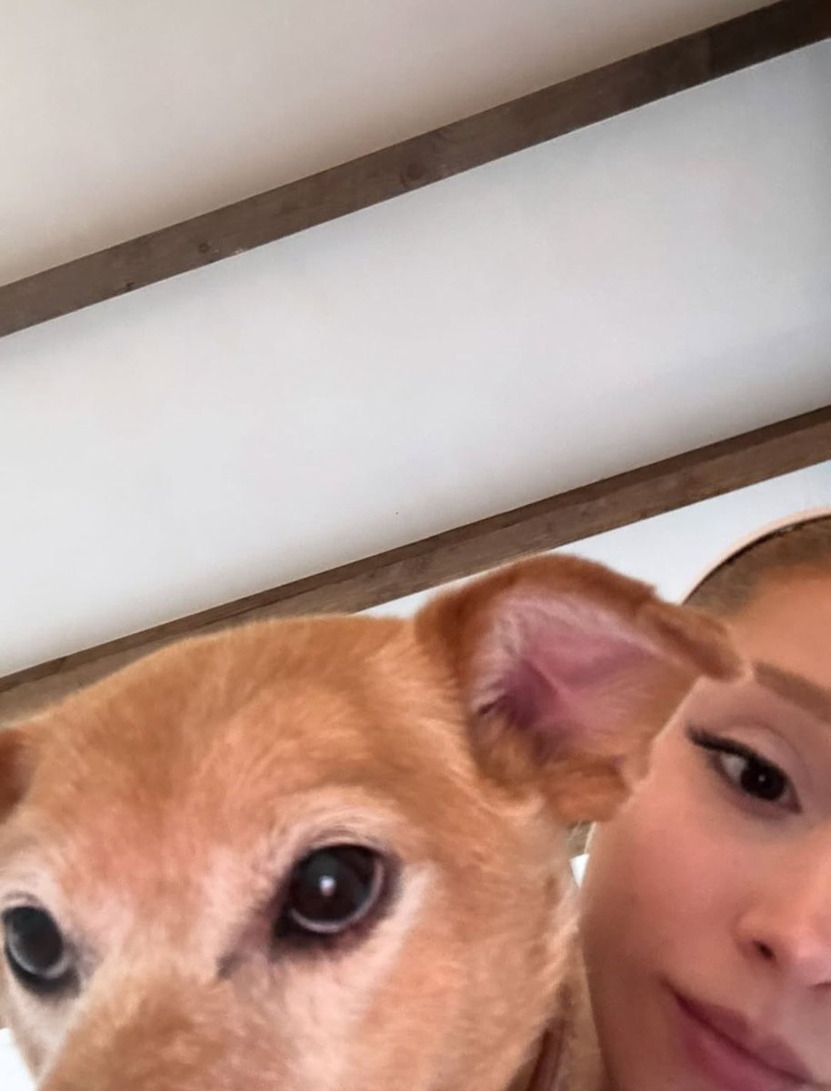 Ariana Grande Today ꕤ tweet media
