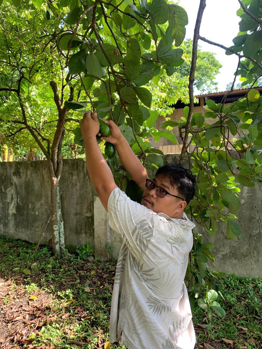 Pahawak ng avocado mo