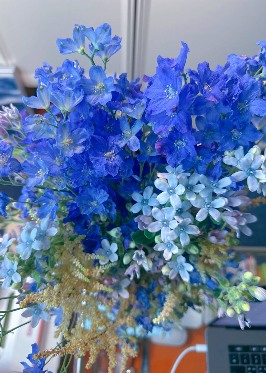 6월의 델피늄은 믿기지 않는 색을 낸다