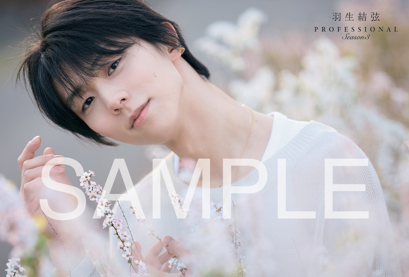 フィギュアスケートLife Extra 羽生結弦 PROFESSIONAL Season3