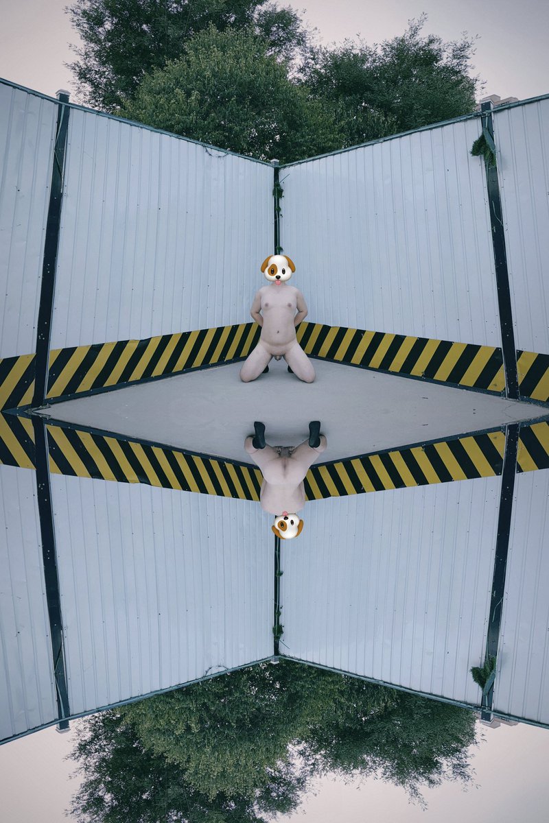 最近真的很高产🎞️