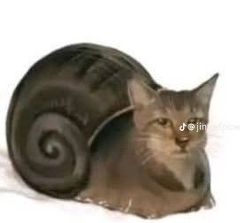 Ya debo acostumbrarme a estar todo el tiempo solo jaja... Bye