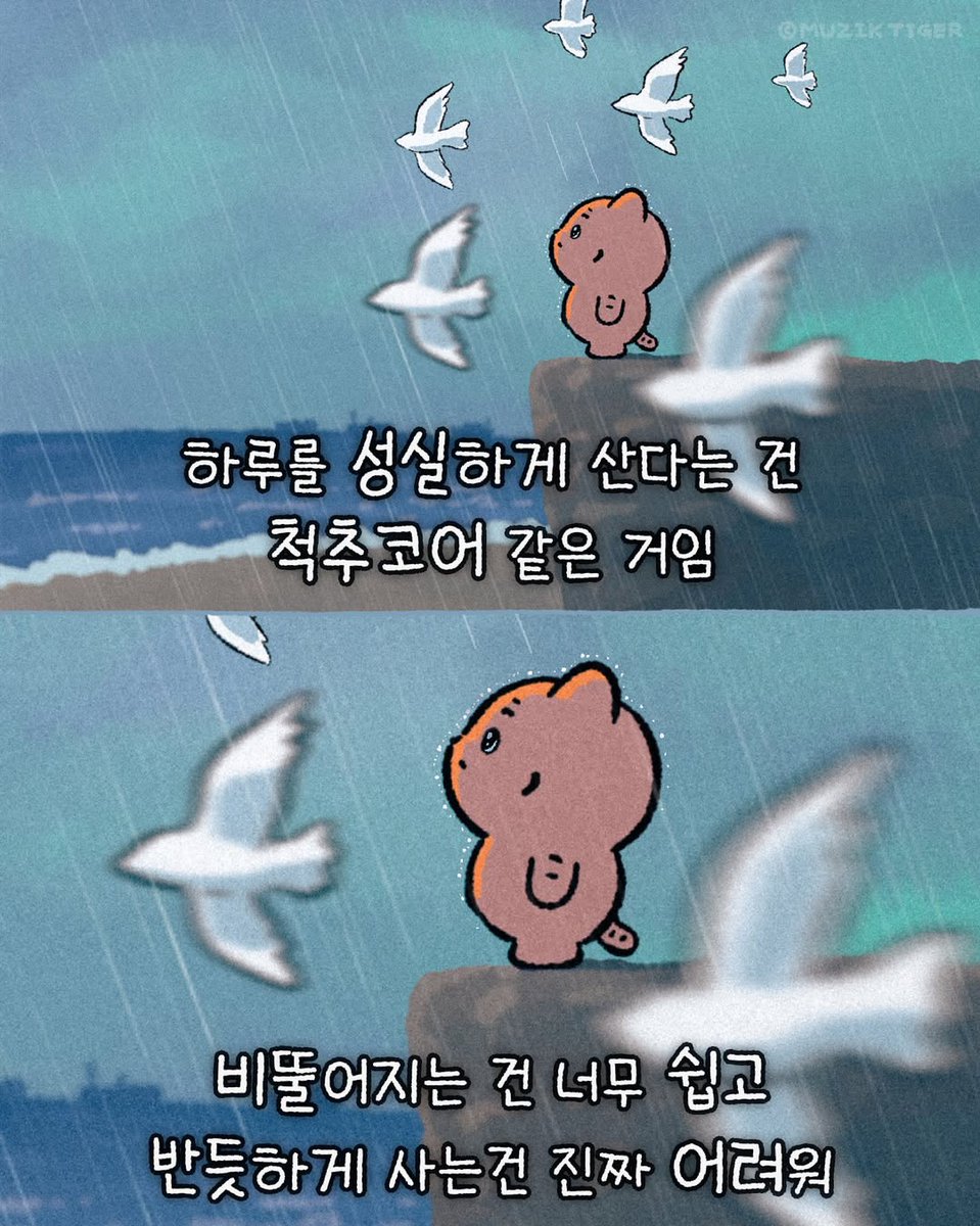 Martius (@esprecchiato) on Twitter photo 