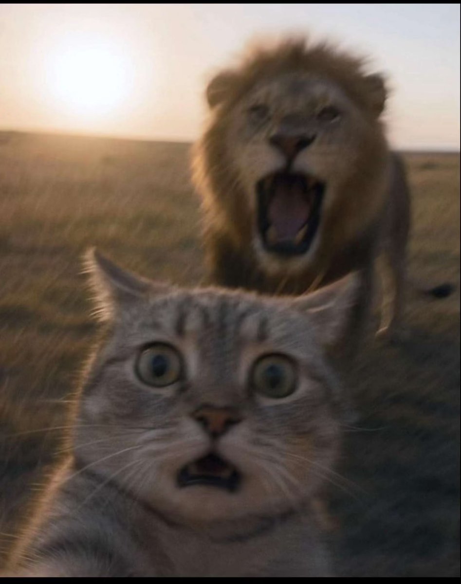 د.عبدالرحمن tweet media